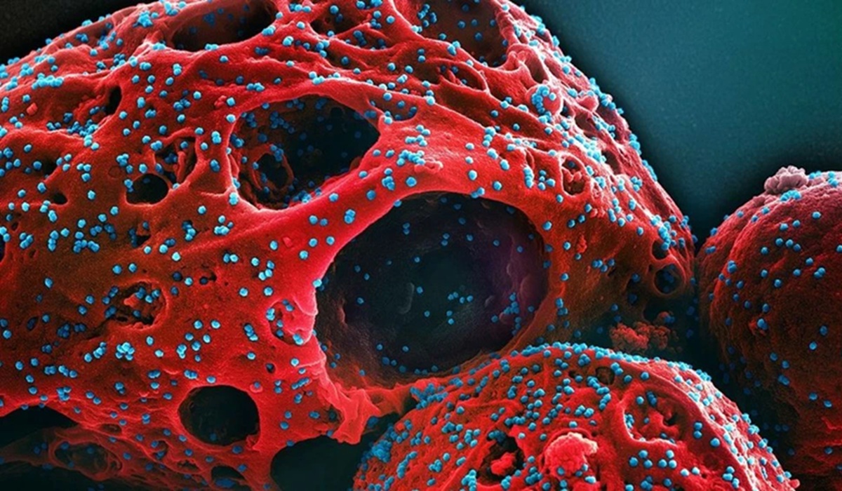 Why Scientists are Calling BA.3.2 the ‘Cicada’ Variant-And Why You Should Care